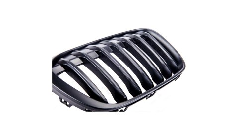 Grill BMW X1 F48