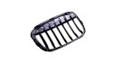 Grill BMW X1 F48