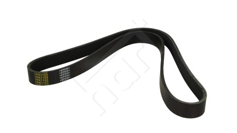 PASEK WIELOROWKOWY 7PK1153