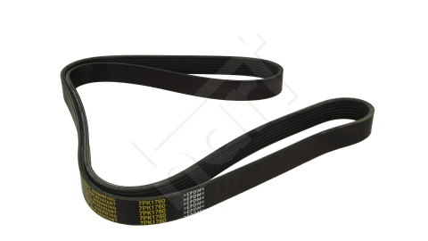 PASEK WIELOROWKOWY 7PK1760