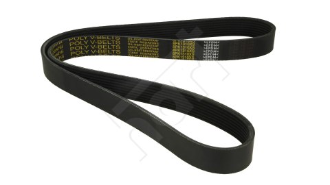 PASEK WIELOROWKOWY 8PK1310