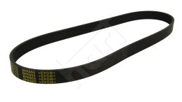 PASEK WIELOROWKOWY 6PK905
