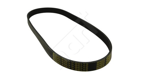 PASEK WIELOROWKOWY 6PK975