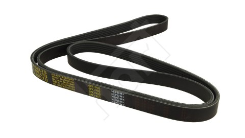 PASEK WIELOROWKOWY 6PK1903