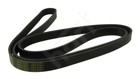 PASEK WIELOROWKOWY 6PK1853