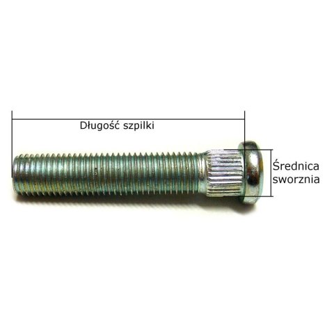 Szpilka wbijana M12x1,5