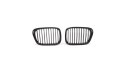 Grill BMW 5 E39 pojedyncze żeberka Matt Black