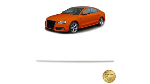 Lotka Audi A5 8T Lip