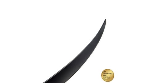 Lotka BMW 5 F10 Lip Matt Black