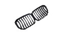 Grill BMW X5 G05 F95 pojedyncze żeberka Gloss Black