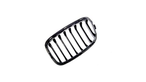 Grill BMW 1 F20 F21 pojedyncze żeberka Carbon Look