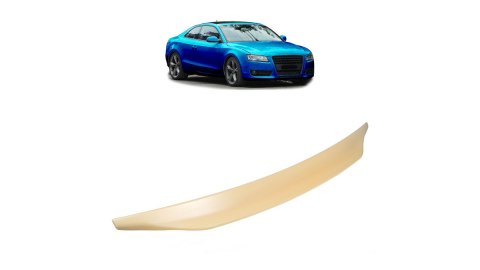 Lotka Audi A5 8T Lip