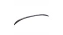 Lotka BMW 4 F33 Lip Matt Black