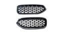 Grill BMW Z4 G29 Gloss Black