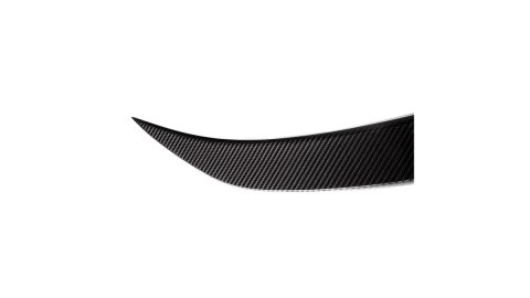 Lotka BMW 3 F30 Lip Carbon