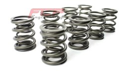 Sprężyny zaworowe Audi / VW 1.9 TDi (not PD/CR) FCP