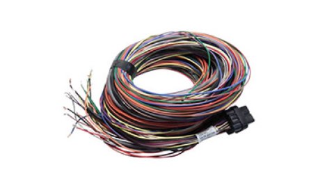 Wiązka długa B (5LB)