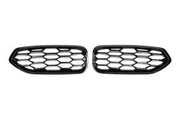 Grill BMW Z4 G29 Gloss Black