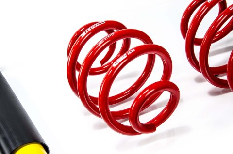 Zawieszenie gwintowane Street BMW 3 Compact (E36), Z3 coupe (E36), Z3 Roadster (E36)