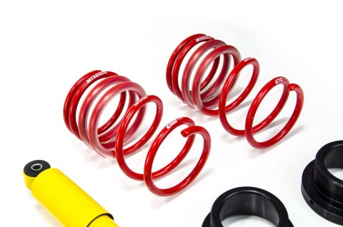 Zawieszenie gwintowane Street Fiat, Ford 500 (312), 500 C (312), KA (RU8)