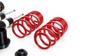 Zawieszenie gwintowane Street Audi, Seat, Skoda, Volkswagen A1 (8X), A1 Sportback (8X), IBIZA IV (6J/6P), IBIZA IV SC (6J/...