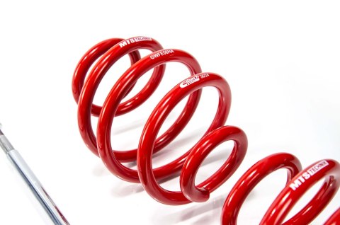 Zawieszenie gwintowane Street BMW Z4 coupe (E86), Z4 Roadster (E85)