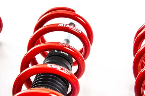 Zawieszenie gwintowane Street BMW 5 (E60)