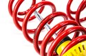 Zawieszenie sportowe MTS Technik Audi A4 B5 Avant (8D)