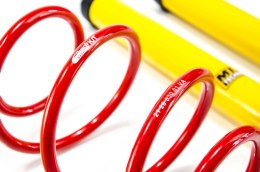 Zawieszenie sportowe MTS x Sportline BMW 1 (F20)